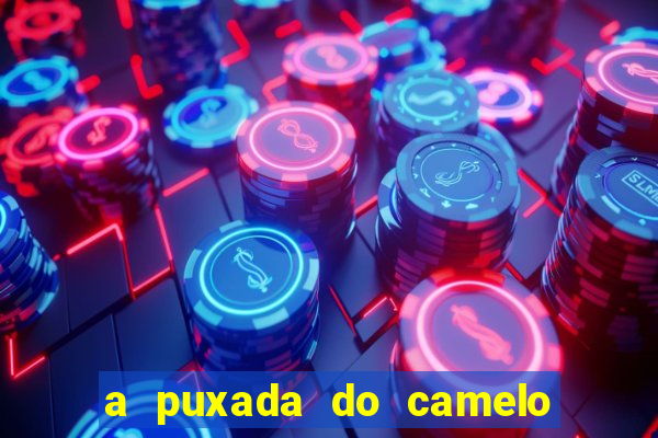 a puxada do camelo no jogo do bicho